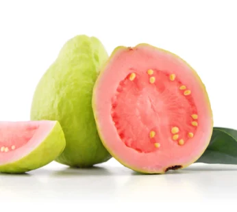 Guava