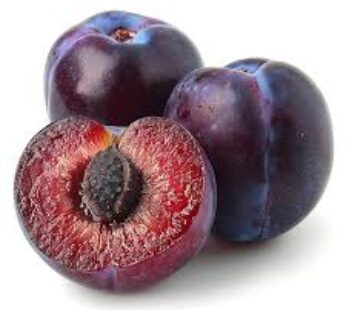 Plum