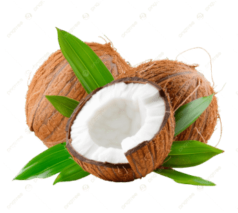 Coconut