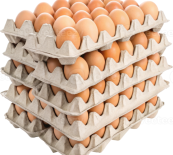 Farm Fresh Eggs